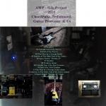 AWP - Side Project  2020 ChordPulse, Pedalboard, Guitar Processor  & Us
